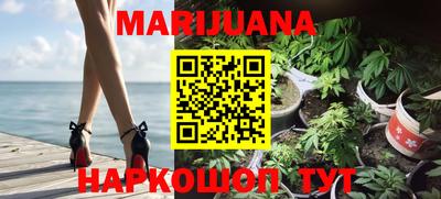 молекула духа Будённовск