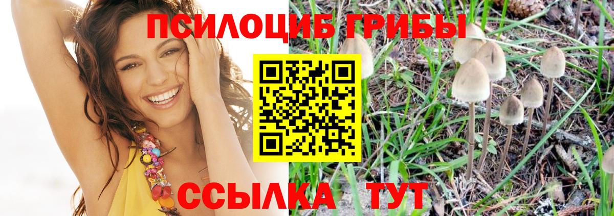 Галлюциногенные грибы мицелий Миасс